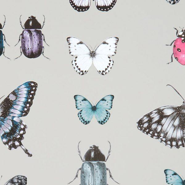 Papilio Teal & Gilver Wallpaper By Clarke & Clarke - W0094/04 | Modern 2 Interiors