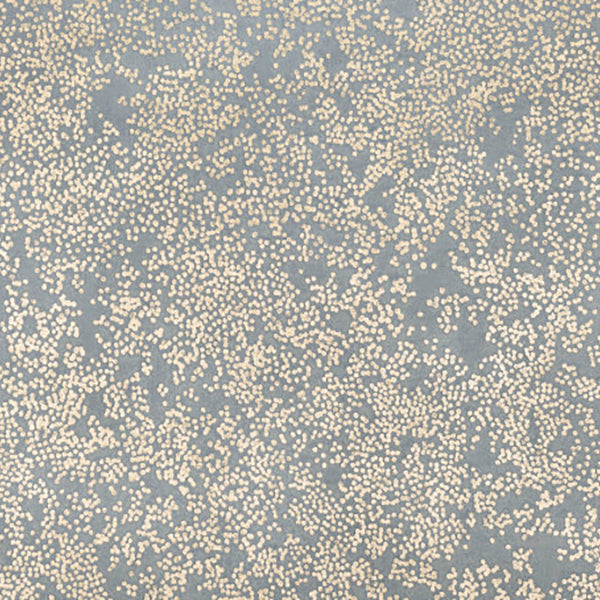 Romo Nyiri Wallpaper - Andesite - W424/06 | Modern 2 Interiors