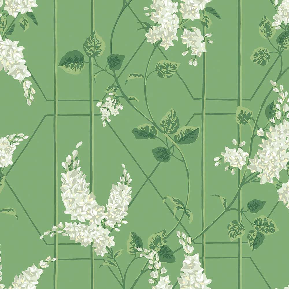 Wisteria Wallpaper by Cole & Son - 115/5016 | Modern 2 Interiors