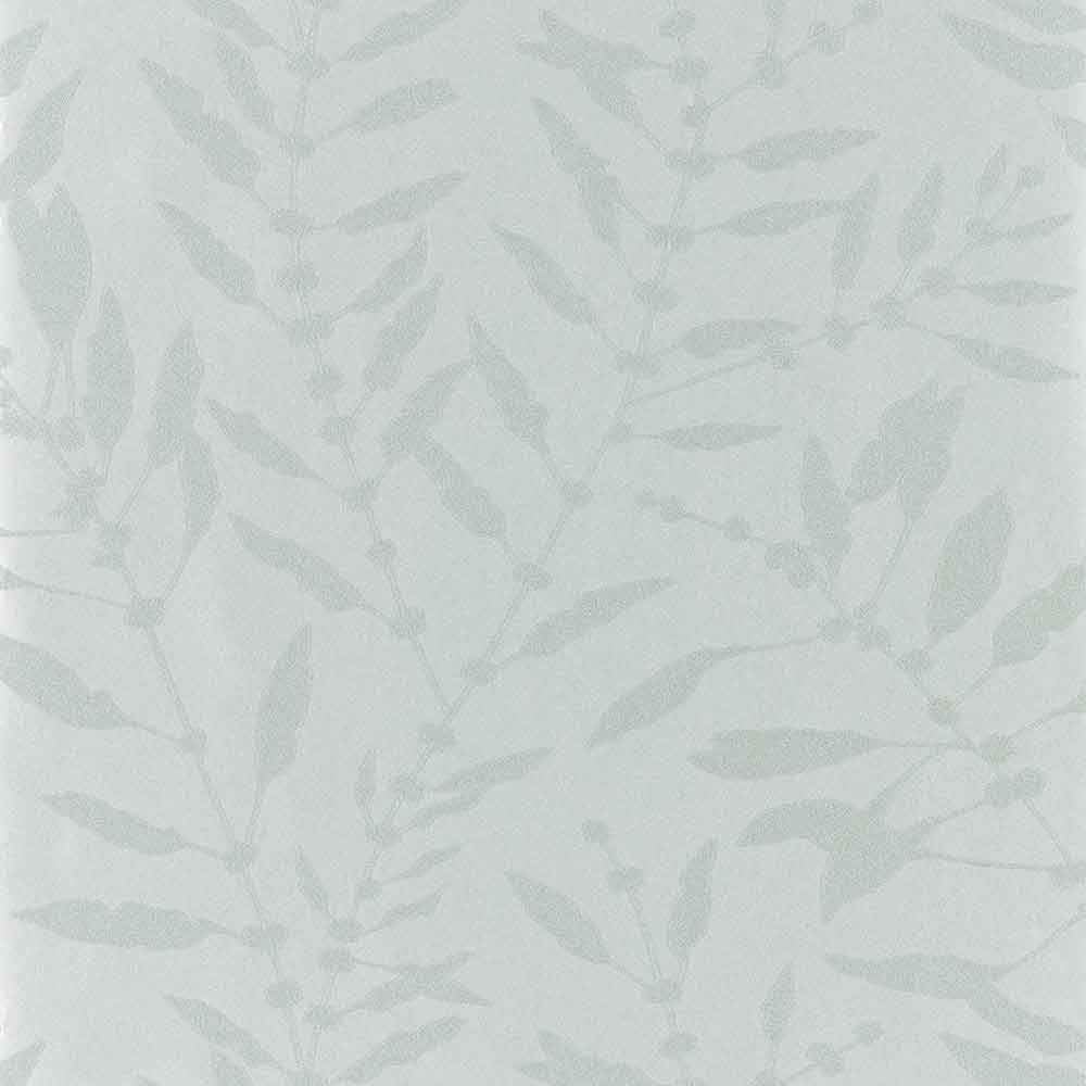 Chaconia Shimmer Stone Wallpaper