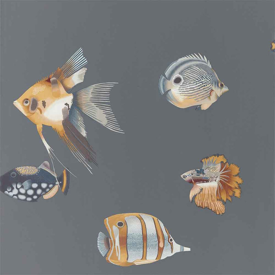 Harlequin Kamanu Wallpaper | A nautical themed wallpaper the design features a range of tropical fish on a grey background | Shop Harlequin wallpaper at Modern 2 Interiors.