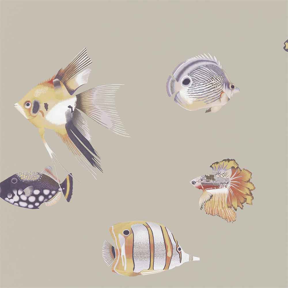 Harlequin Kamanu Wallpaper | A nautical themed wallpaper the design features a range of tropical fish on a cream background | Shop Harlequin wallpaper at Modern 2 Interiors.