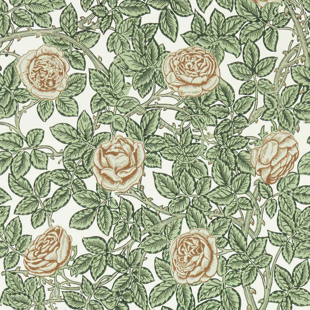 Rambling Rose Leafy Arbour & Pearwood Wallpaper